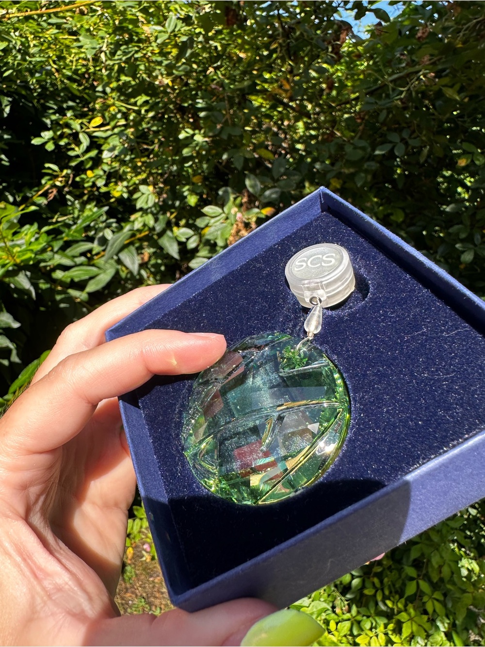 🎍✨ Rare Swarovski SCS 2008 Bamboo Green Crystal Sun Catcher ✨🎍BNIB